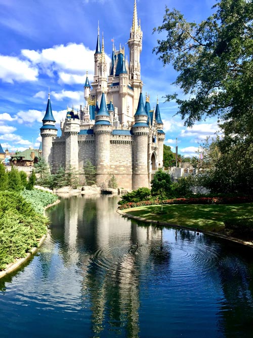 Disney World Magic Kingdom Castle Orlando